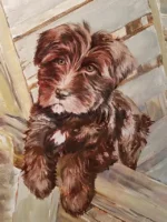 dog portrait